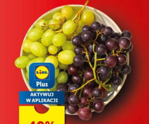 Majówka  - ostanie promocje w Lidli