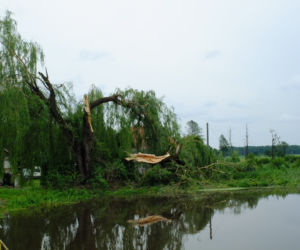 Przez gminę Wilków przeszła potężna nawałnica. Kilkadziesiąt budynków jest zniszczonych