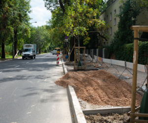 Więcej zieleni w Warszawie
