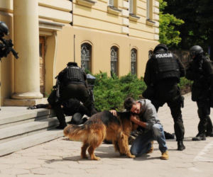 Komisarz Alex 4 sezon odcinek 40 (odc. 1). Michał Orlicz (Antoni Pawlicki)