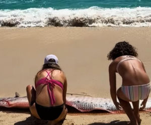 Gigantyczny wąż morski pojawił się na plaży w Cabo