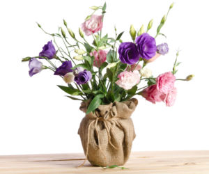 Eustoma wielkokwiatowa