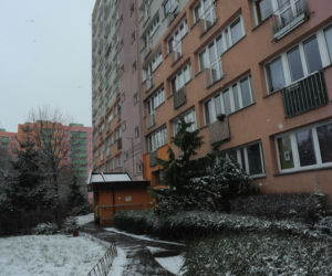 ZMASAKROWANE ciało w mieszkaniu. Sąsiedzi słyszeli odgłosy PIŁY! Co wydarzyło się na szczecińskim Niebuszewie?