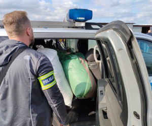 Duża akcja policji w Łódzkiem. Zatrzymanemu 42-latkowi grozi nawet 10 lat za kratkami