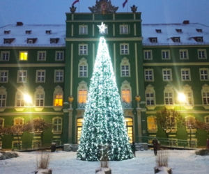 Miejska choinka osiągnęła pełnoletność i przechodzi do historii. Zastąpi ją nowszy model