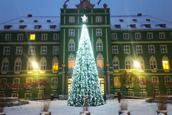 Miejska choinka przed urzędem miasta