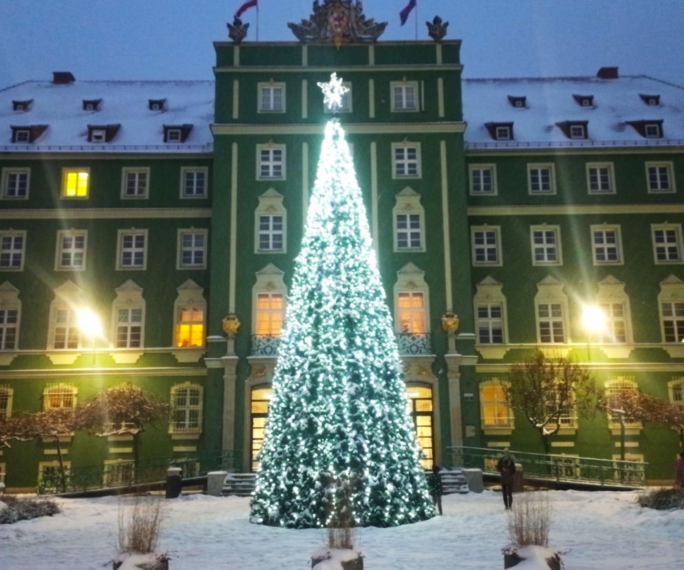 Miejska choinka przed urzędem miasta