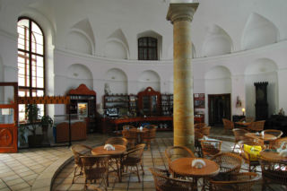 Szlak Magnolii w Cieszynie