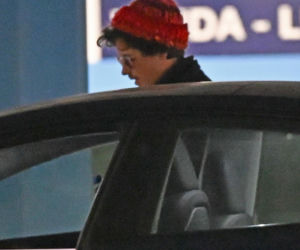 Kulisy premiery filmu DZIK