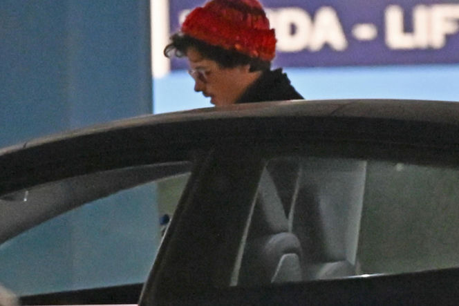 Kulisy premiery filmu DZIK