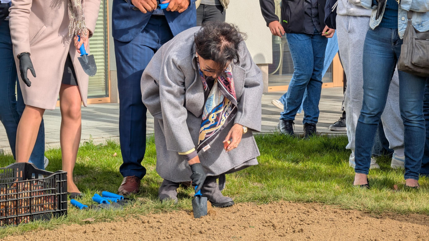 Piąta edycja akcji "Tulipany dla hospicjum Via Spei"