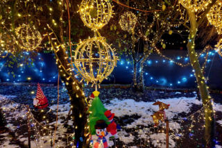 Dom bydgoskich Griswoldów znów rozbłysł. Powieśiliśmy 300 tysięcy lampek. Przygotowywaliśmy jej od lipca!