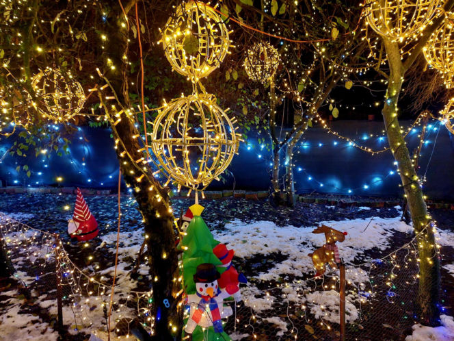 Dom bydgoskich Griswoldów znów rozbłysł. "Powieśiliśmy 300 tysięcy lampek. Przygotowywaliśmy jej od lipca!"