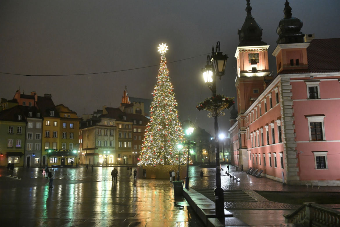 Choinka na Placu Zamkowym już świeci