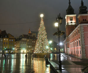 Choinka na Placu Zamkowym już świeci