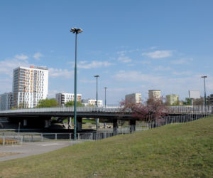 Osiem miesięcy bez Ostrobramskiej