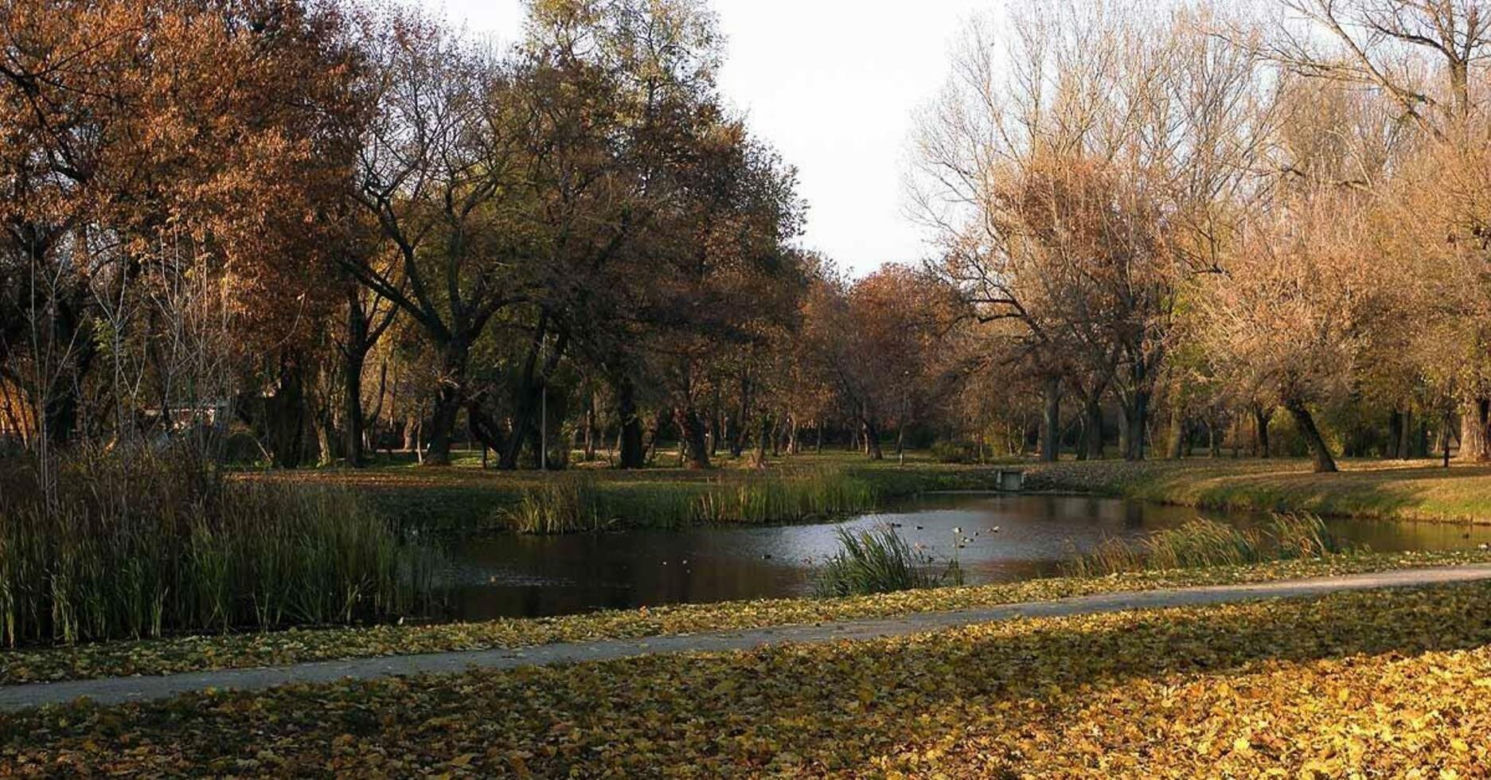 Staw w Starym Ogrodzie, jednym z najstarszych parków w Polsce