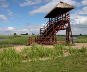 Kładka Śliwno-Waniewo. Niezwykła atrakcja pod Białymstokiem