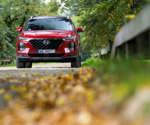 Hyundai Santa Fe 2.0 CRDi 185 KM 8AT 4WD Platinum