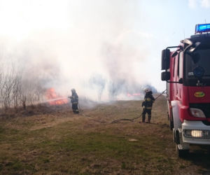 Mieszkańcy Podkarpacia masowo wypalają trawy