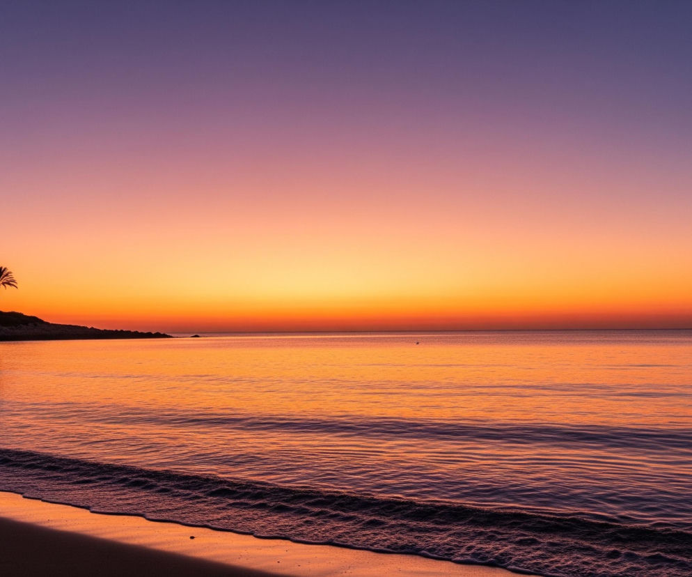 Poziomy horyzont dzieli obraz na niebo i linię brzegową z wodą. Niebo przechodzi od intensywnego pomarańczu przy horyzoncie, przez delikatne różowe odcienie, aż po fiolet w górnej części kadru. Po lewej stronie, na tle pomarańczowego nieba, widać sylwetki wielu palm, z których niektóre odbijają się w spokojnej tafli wody. Ciemny piasek plaży rozciąga się wzdłuż dolnej części obrazu, łagodnie przechodząc w niewielkie fale w kolorze fioletowo-różowym.