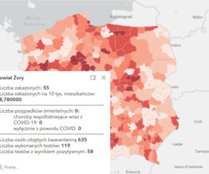 Koronawirus w województwie śląskim. Tak wygląda sytuacja w poszczególnych powiatach [RAPORT, 19 MARCA]