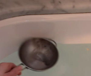 Koszmar Kasi Tusk jak z horroru! Poszła do łazienki, musiała użyć durszlaka