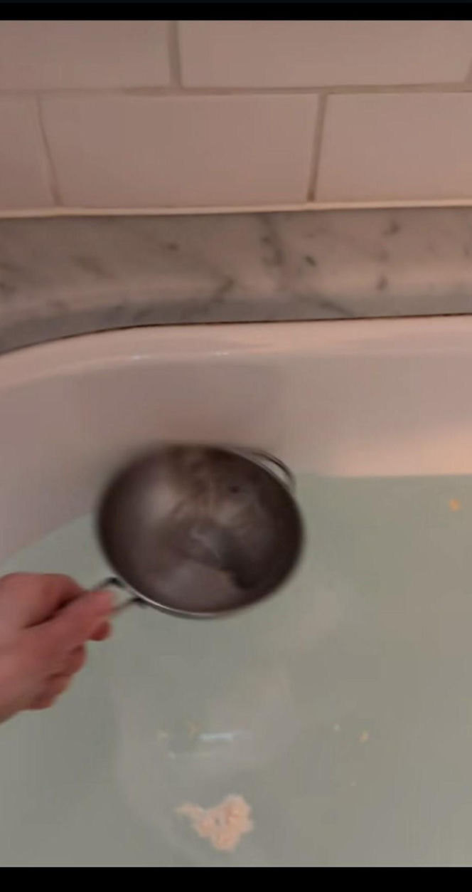 Koszmar Kasi Tusk jak z horroru! Poszła do łazienki, musiała użyć durszlaka