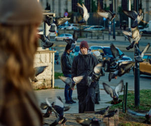 Na Wspólnej, odcinek 4179: Kalina wrabia Darka w kradzież dużej sumy pieniędzy. Ostatecznie pogrąży Żbika? Tomasz Urbanek