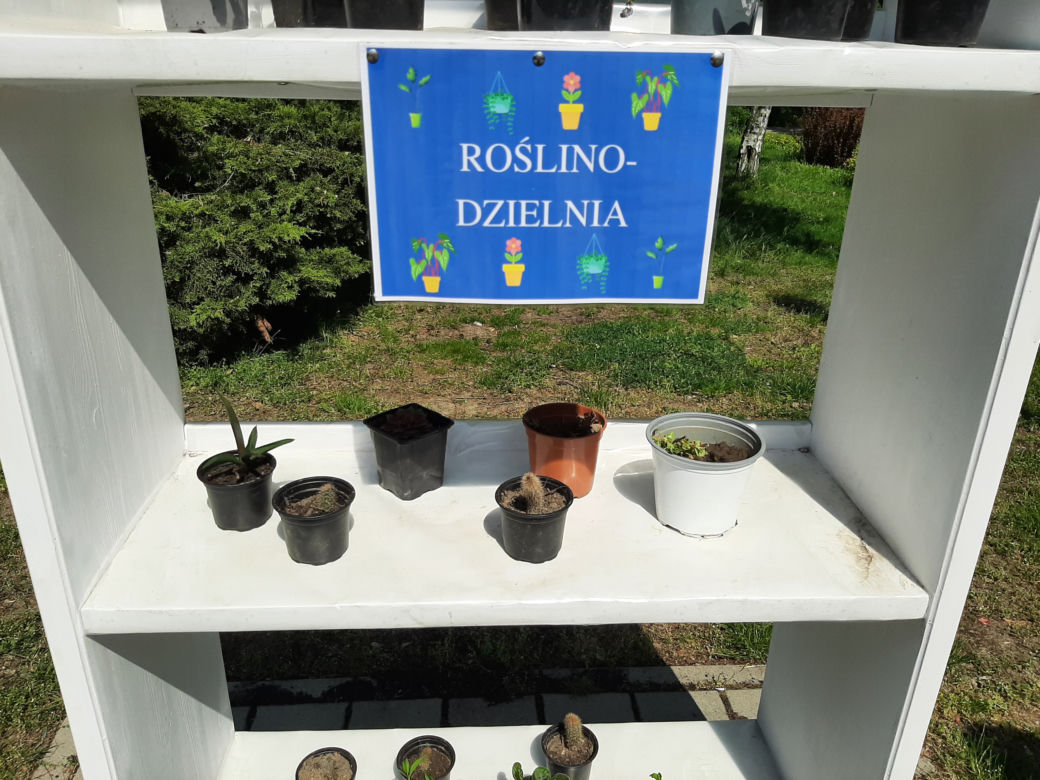 Roslinodzielnia w Swarzędzu