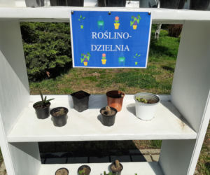 Roslinodzielnia w Swarzędzu