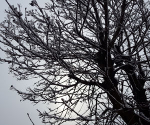 Dziś (19.03.) ostatni dzień zimy. Jutro (20.03.) początek astronomicznej wiosny