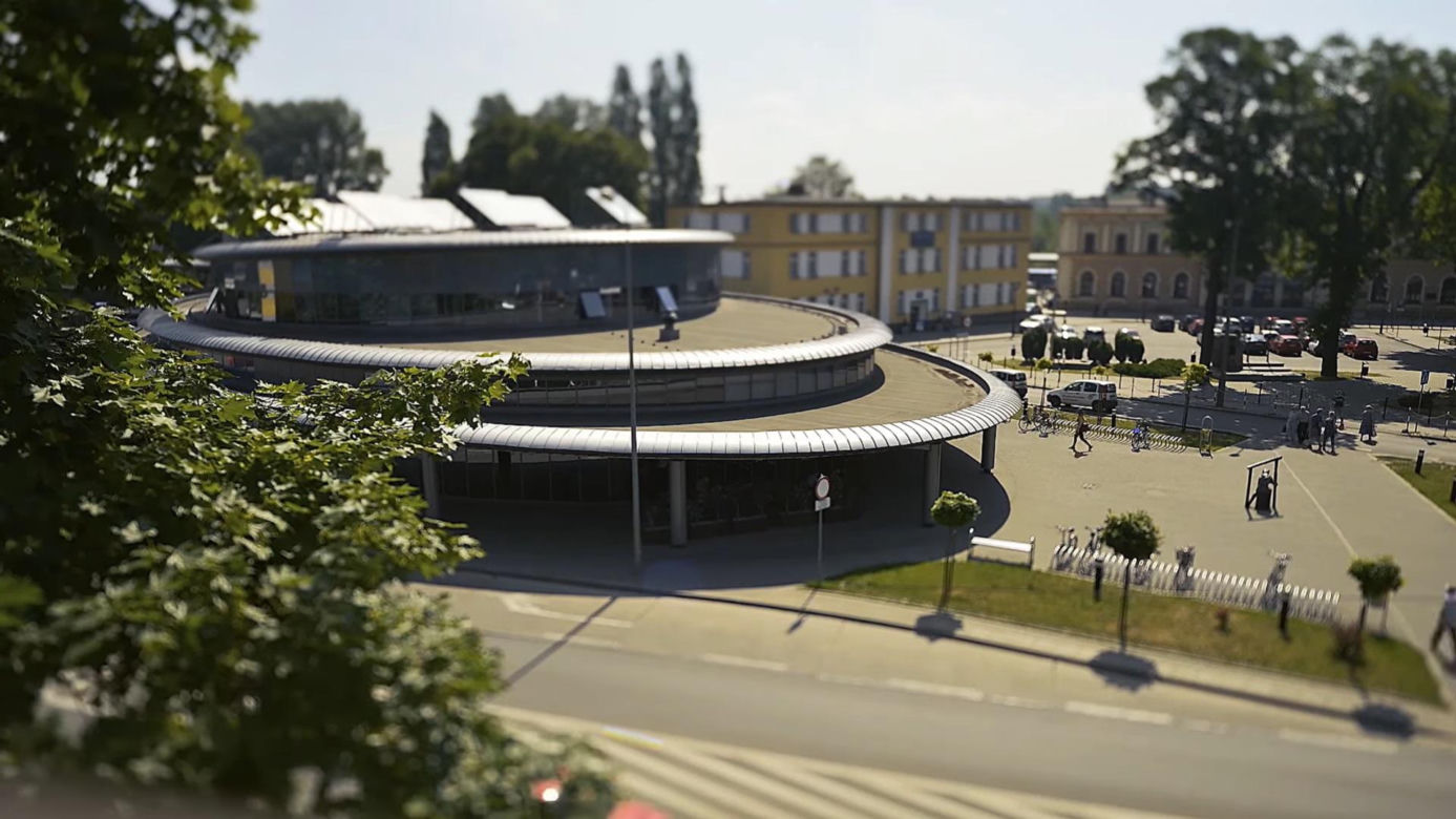 7‬. Tarnowskie Góry - 3049 ha lasów