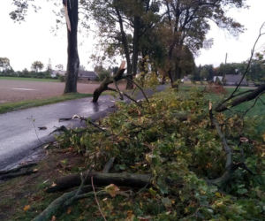 Fatalne skutki wichury w Bydgoszczy i okolicach! 