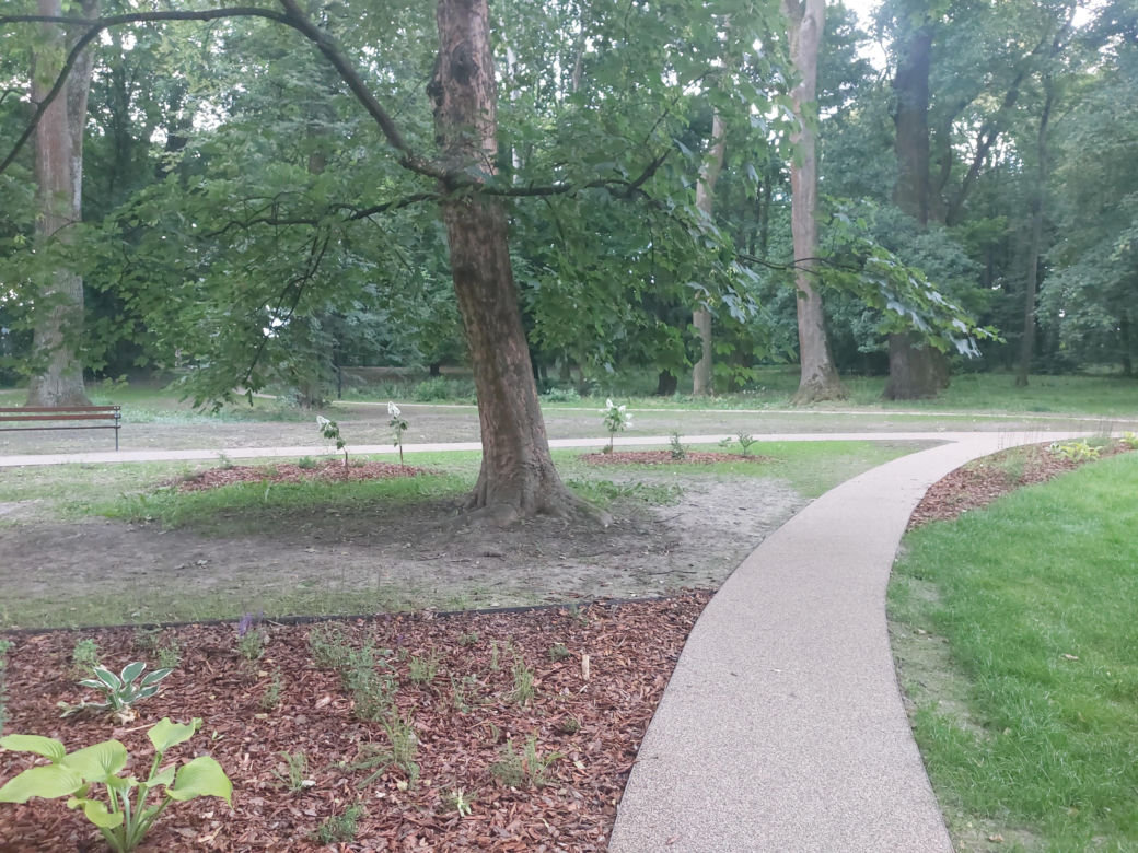 Park im. Szafera w Rzeszowie 