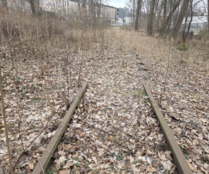 8 lat bez tramwajów na Babiej Wsi. Torowisko w ruinie!