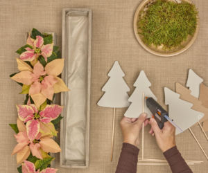 Kalendarz adwentowy z choinkami z papieru i mini poinsecjami