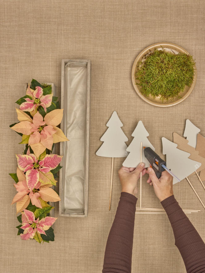 Kalendarz adwentowy z choinkami z papieru i mini poinsecjami