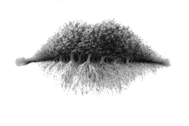 Co widzisz na obrazku?