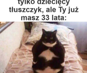 Dzień Kota 2021. Rasowe, dachowce, małe i duże. Dziś KOTY mają swoje święto [MEMY]
