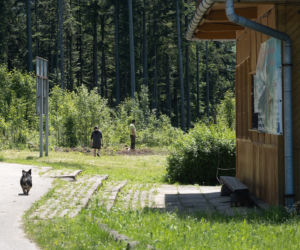 Kapela weselna zagra na pogrzebie Darka