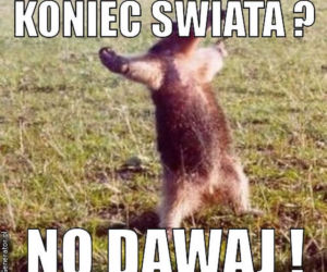 Koniec świata mem
