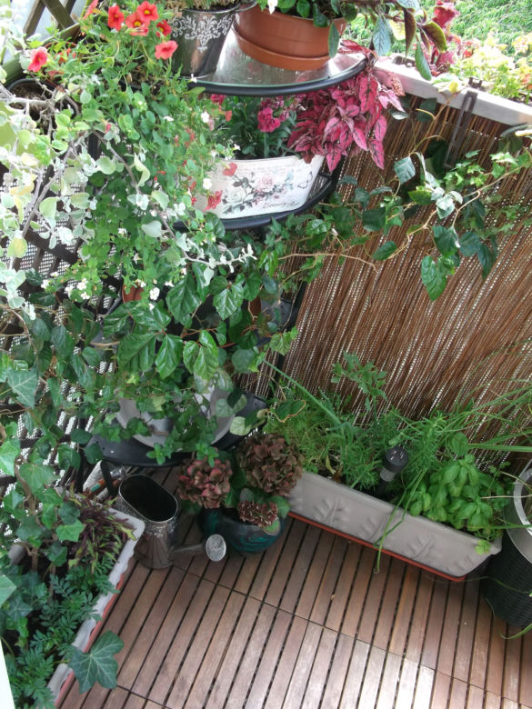 Mały balkon w wielkim mieście zdjecie nr 12