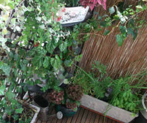 Mały balkon w wielkim mieście zdjecie nr 12