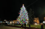 Choinka miejska Siedlce