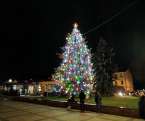 Choinka miejska Siedlce