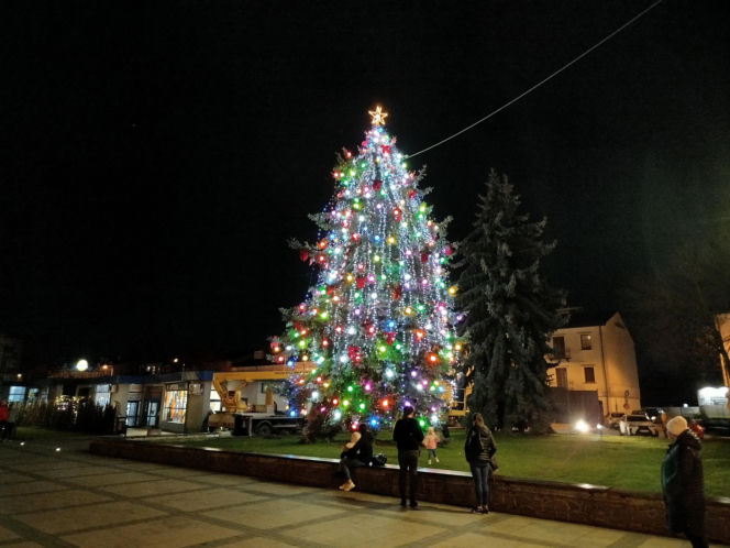 Choinka miejska Siedlce