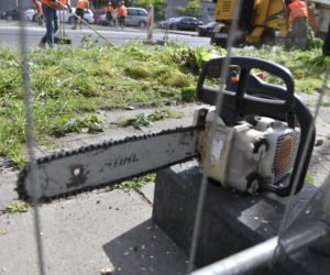 Wycinka drzew na Mokotowie. Mieszkańcy zbulwersowani, tramwajarze uspokajają