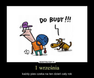 Najlepszy z okazji zakończenia wakacji i początku roku szkolnego!
