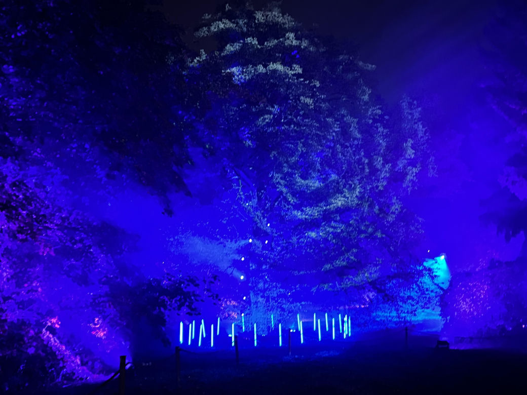 Lumina Park w Poznaniu. Multimedialny spacer w milionie świateł powraca w nowej odsłonie